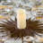 Natural Pheasant Tail Wreath