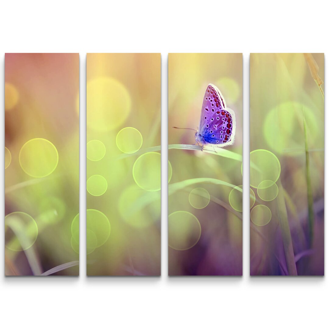 4-tlg. Leinwandbilder-Set Schmetterling