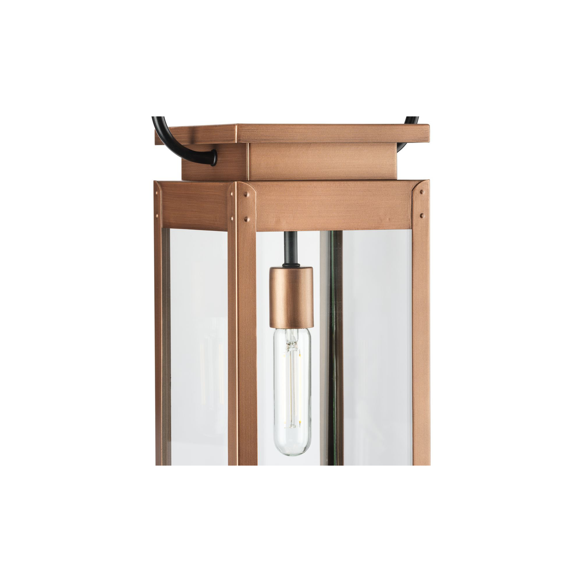 Ginseng Transparent Outdoor Hanging Lantern