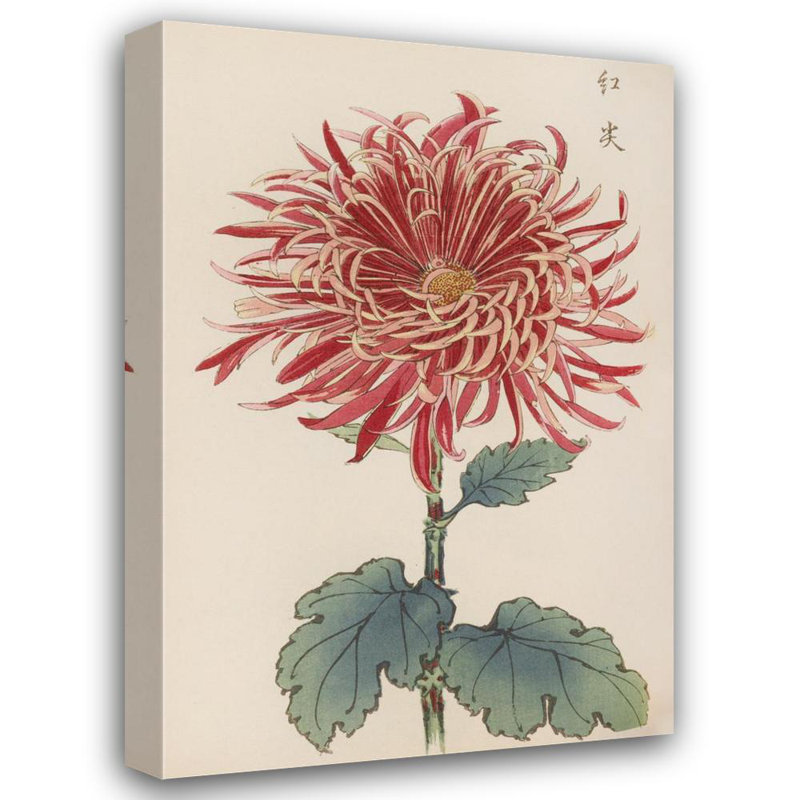 "Keika Hyakugiku, Pl.27" by  Keika Hasegawa - Gallery Wrap Canvas Wall Art, 24" H x 17" W
