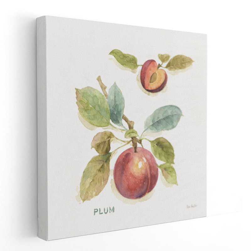 Orchard Bloom IV - reproduction d'art sur toile, H 24 po x l 24 po