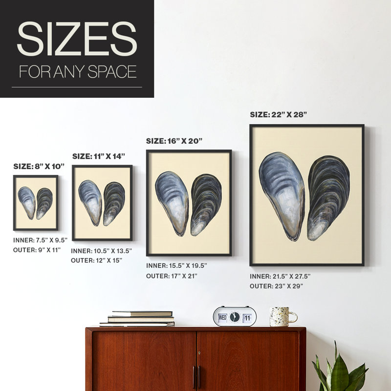 «Bivalve Shells I», reproduction encadrée - bois massif, H 30 po x l 24 po, Noir, noir, noir, noir