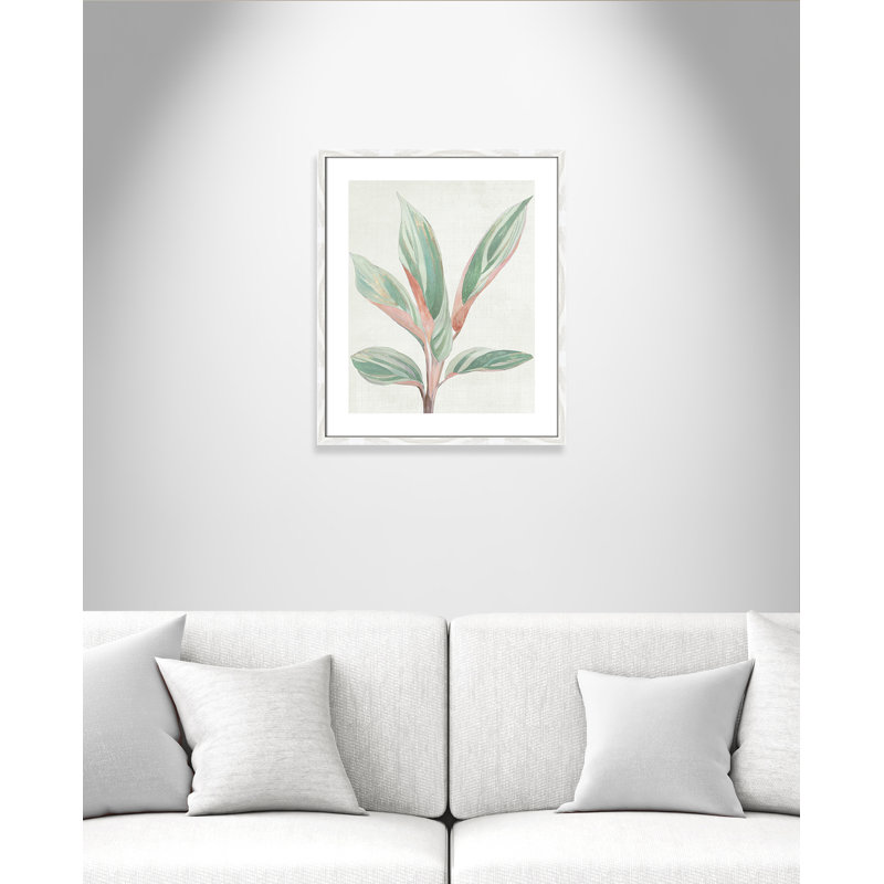 Ginger Plant I - reproduction d'art, Papier avec cadre en bois blanc, H 25,5 po x l 21,5 po x P 0,75 po