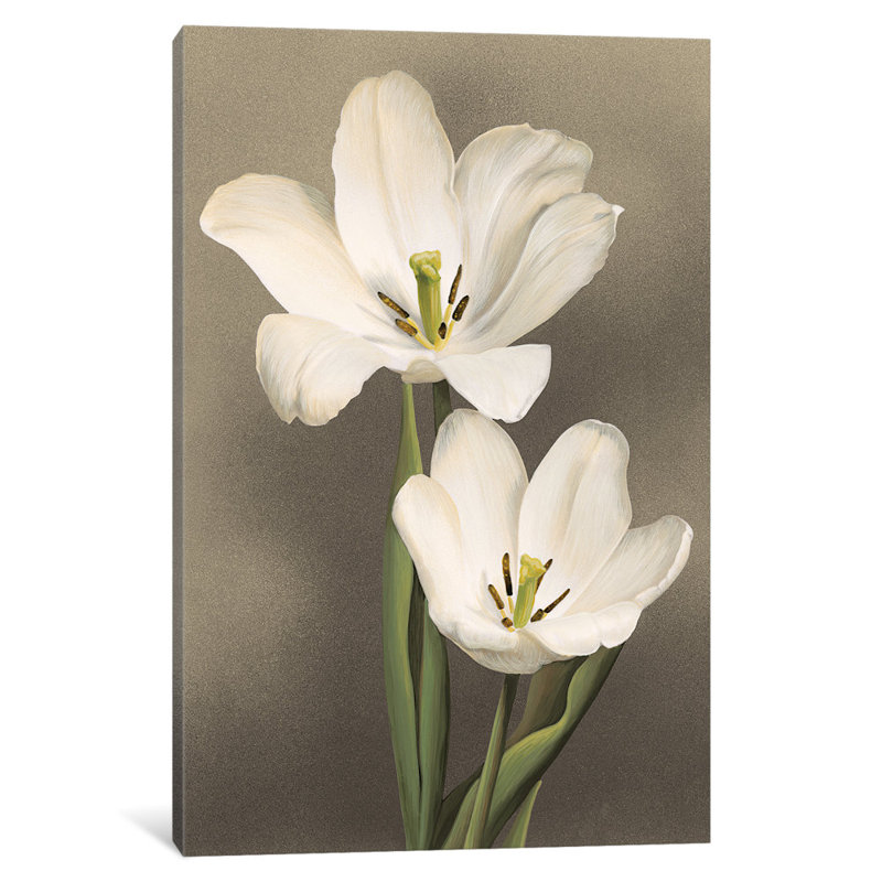 « tulipani », reproduction d’art sur toile tendue, H 24 po x l 16 po x P 1 po, Papier d'art encadré noir, Blanc