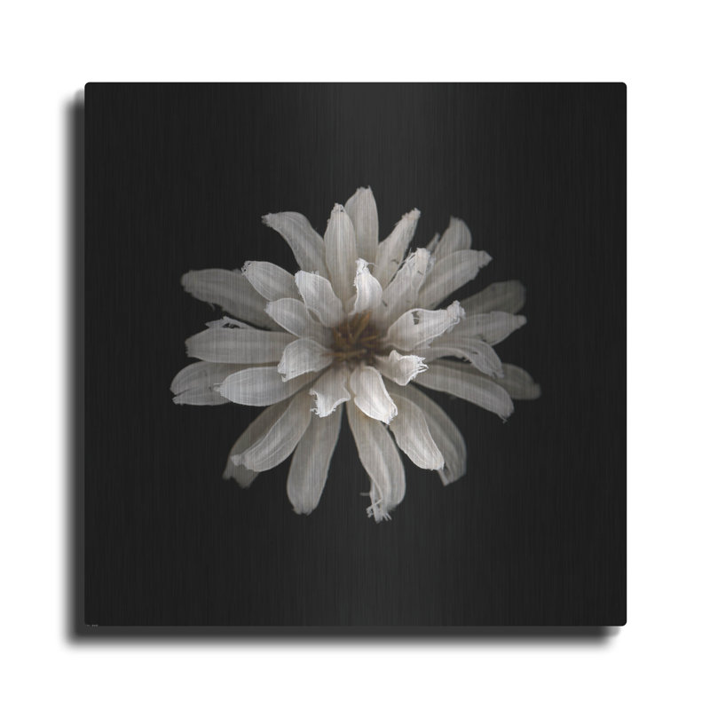 «All White» par Photoinc Studio, Met, H 12 po x l 12 po