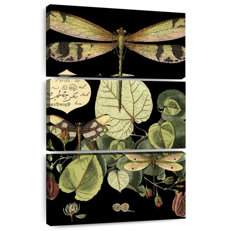 Whimsical Dragonfly On Black II, H 57 po x l 36 po
