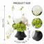 Arrangement organique moderne dans un pot