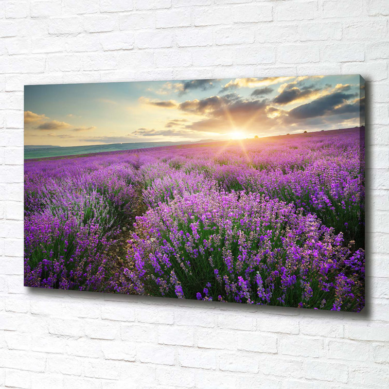 Lavender Field - Wrapped Canvas Print
