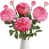Rose profond est en rupture de stock