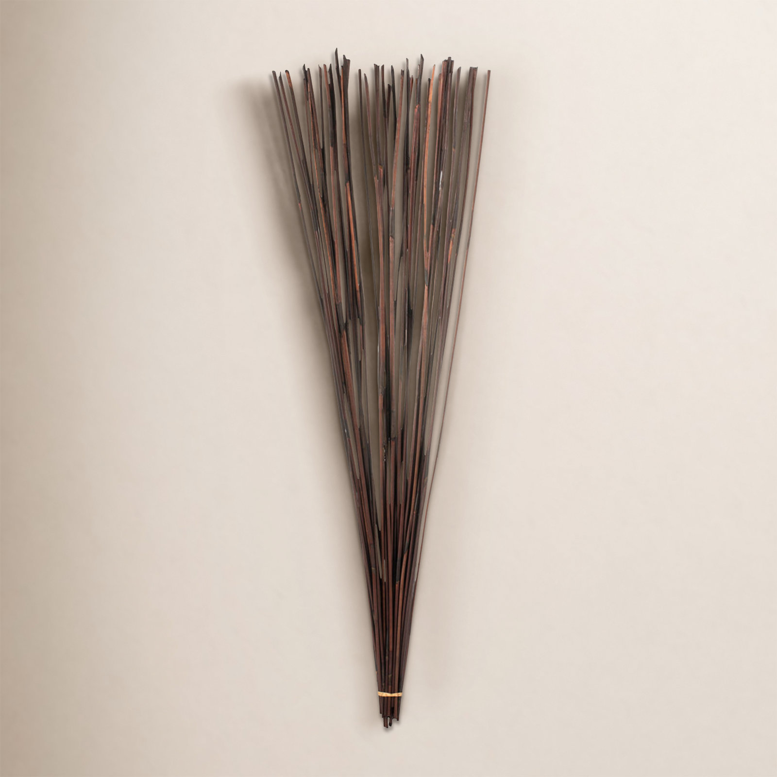 Dried Elephant Reed Stems, Brown