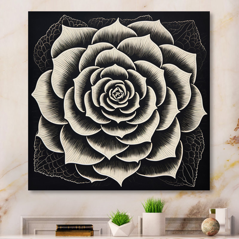 Minuscule plante grasse en noir et blanc, H 30 po x l 30 po x P 1 po, Toile tendue