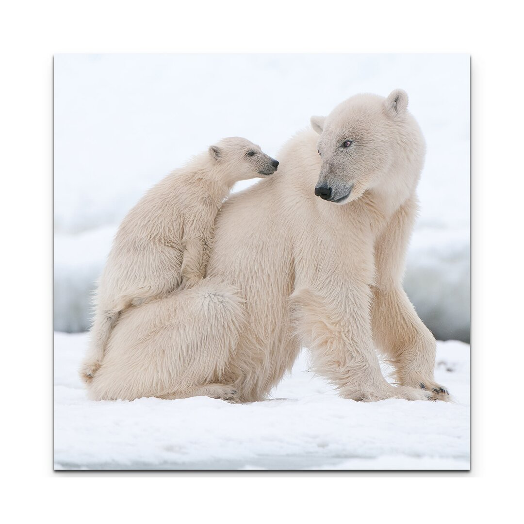 Leinwandbild Eisbär mit Jungem