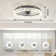 Ceiling Fans With Lights And Remote, Modern Smart LED Ceiling Fan Light