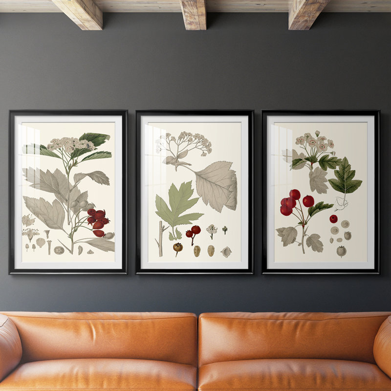Feuilles et baies I - Impression personnalisée de qualité supérieure avec cadre - 3 pièces, H 21 po x l 30 po