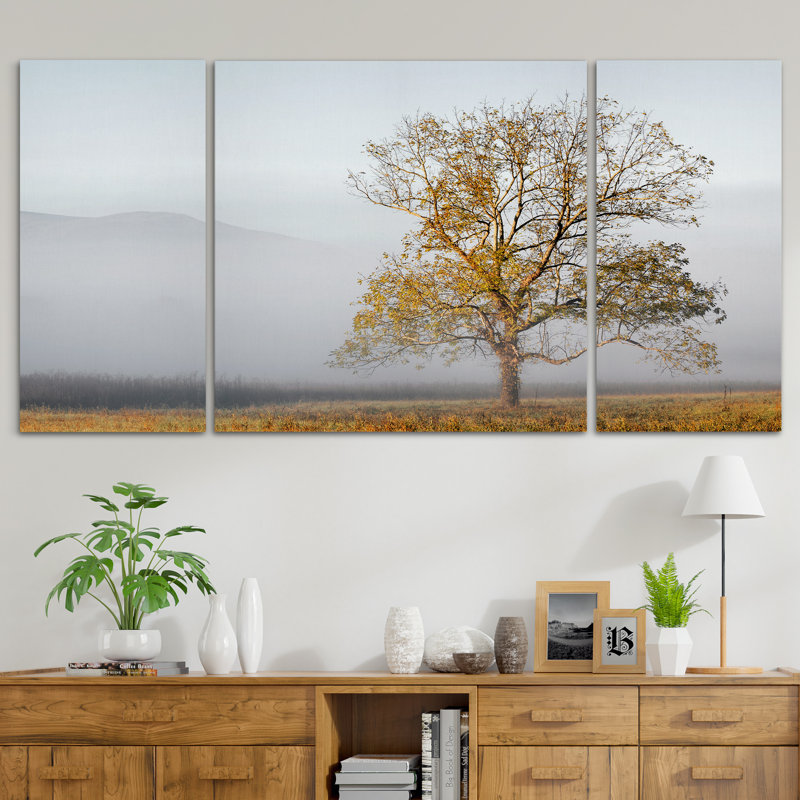 « cades cove », photo multi-pièces de qualité supérieure sur toile, H 24 po x l 48 po x P 1,5 po