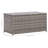 Briones Rattan Storage Box