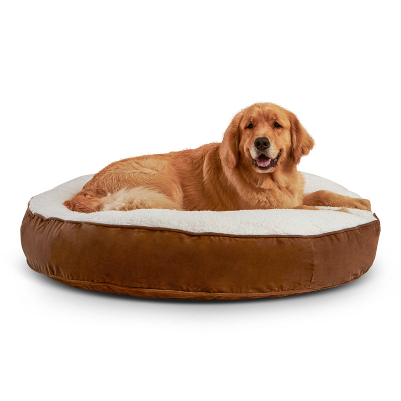Alyzae Polyester Pet Bed, Latte, Large (42" W x42" D x 6" H)