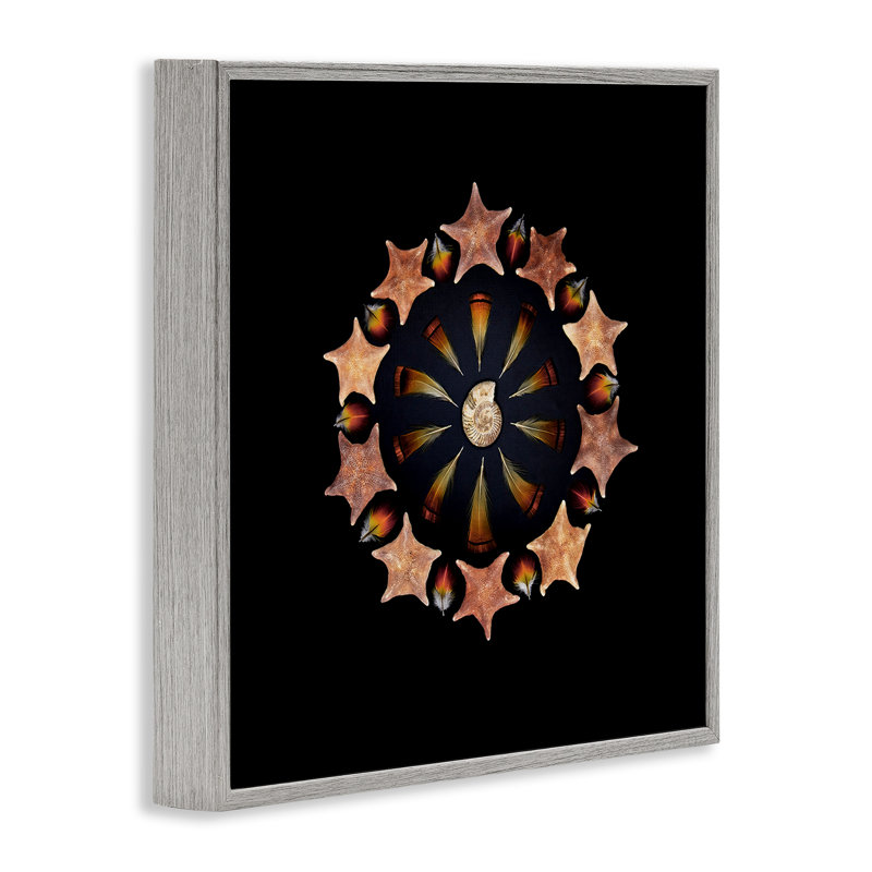 «Nautical Nature Arrangement», estampe numérique, conception de Beth Adoette, Giclée de ferme grise encadrée