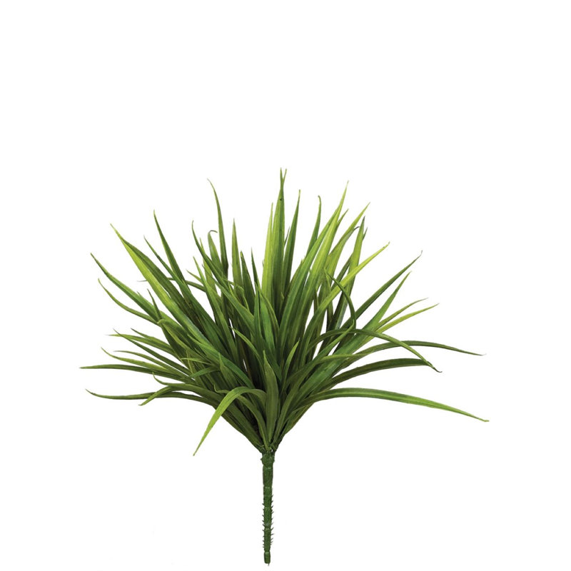 Douille d’herbe d’épée