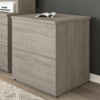 Oshinski 2 Drawer Lateral File