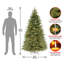 Jersey Fraser Fir Medium Tree with Dual Color LED Lights-1937365291