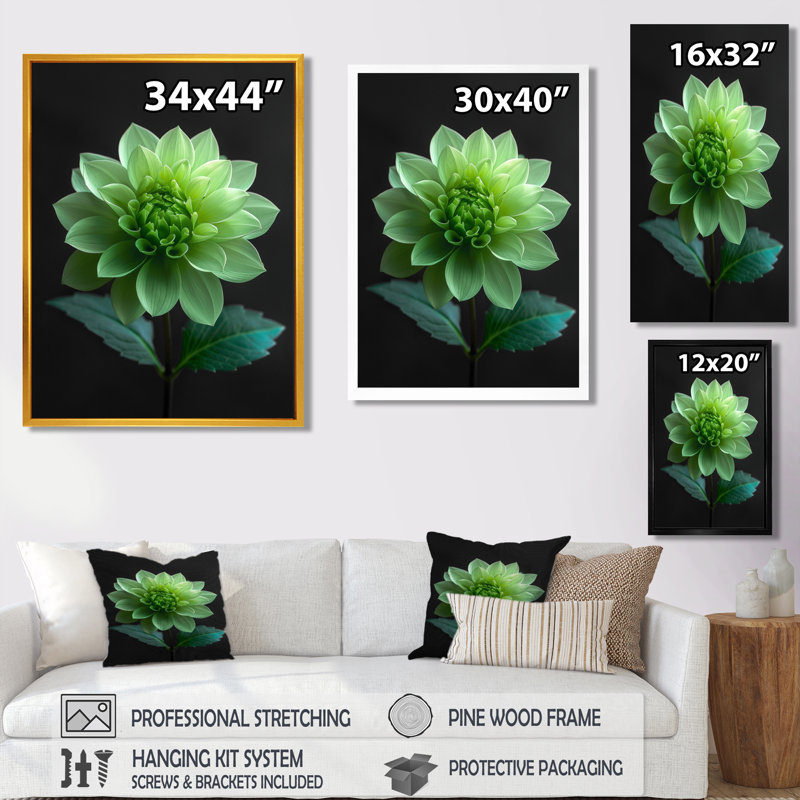 Dahlia noir et vert en photo monochrome - impression d'art mural Dahlia, Cadre flottant noir, H 30 po x l 40 po