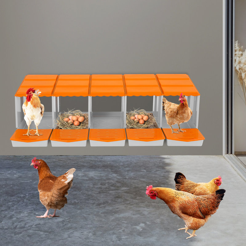 Boîte de nidification à 5 compartiments pour poulets, Orange