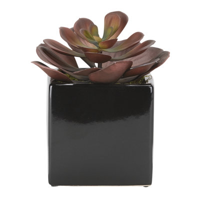 7.5'' Faux Succulent in Ceramic Planter