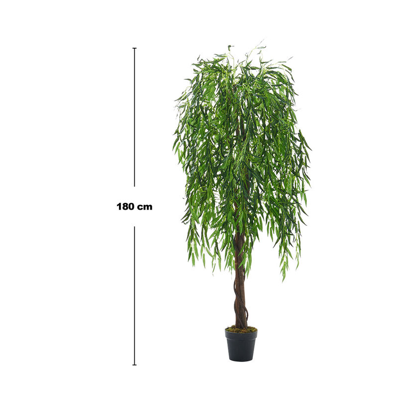 195cm Plant