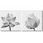 Film grain agrandie de lotus encadré sur toile, 2 pièces-88315328-88315329