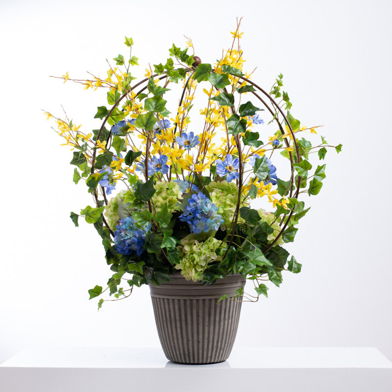 Hortensia en pot