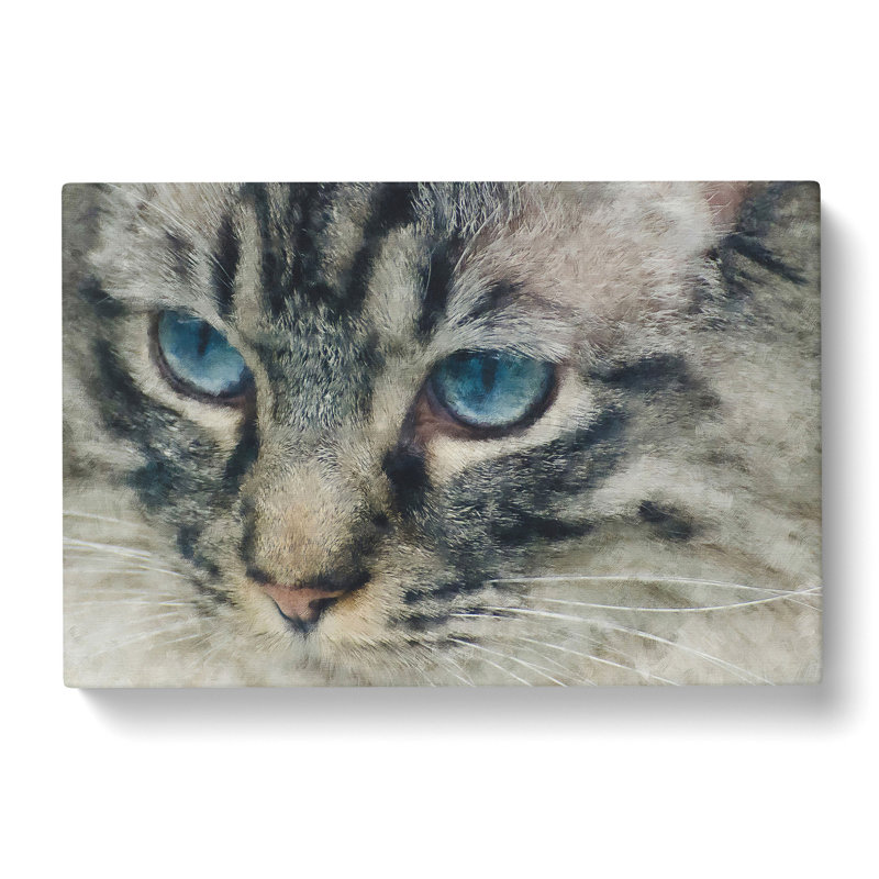 Portrait Of A Cat Vol.14 - Wrapped Canvas, 35cm H x 50cm W x 3cm D