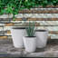 Pot de fleurs Waitman-1631442496