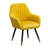 Tuchico Contemporary Velvet Upholstered Accent Chair (Accent Chair)