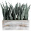 43.9cm Faux Plant in Solid Wood Planter