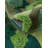 Isabelle & Max™ Sunderbans Angeliyah Rug-620990180