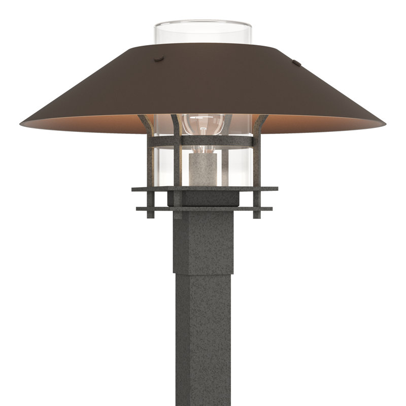 Henry 1 - Light 15.8" H Hardwired Lantern Head, Transparent, Coastal Bronze, Coastal Natural Iron