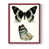 Rouge n'est pas disponible
