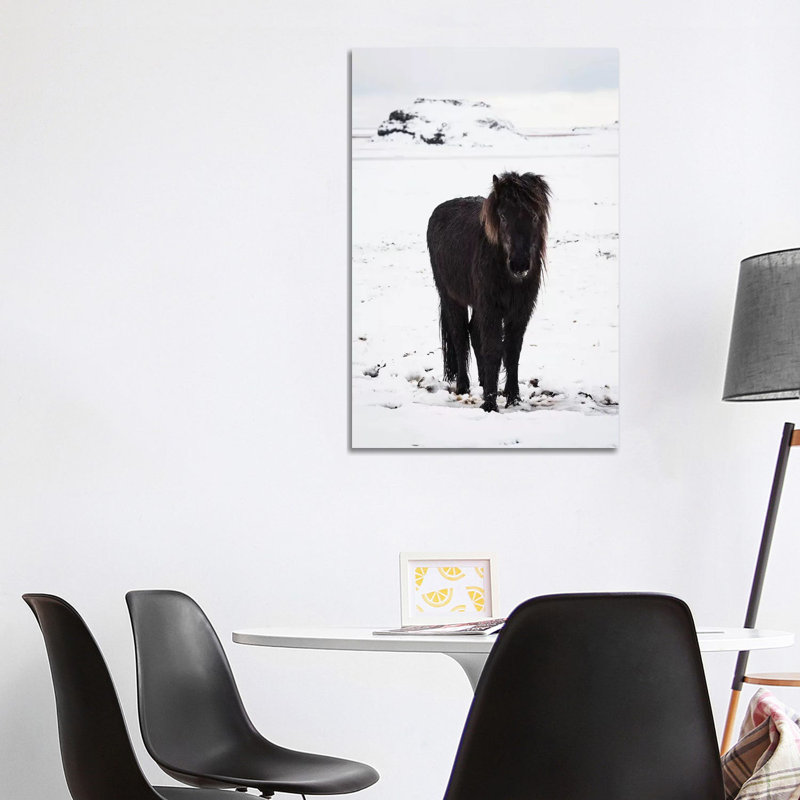 Icelandic Pony In Winter Snow by James Vodicka - Wrapped Canvas Gallery-Wrapped Canvas Giclée, 101.6 cm H x 66.04 cm W