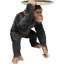 Butler Playing Chimp Figurine