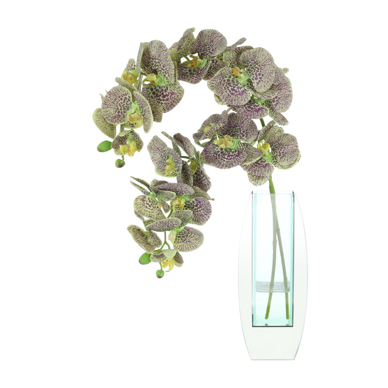 Orchidées Tania disposées dans un vase en verre, Mauve / Vert, Clair
