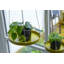 Plant Tray Hanging Round-71819500-71819499