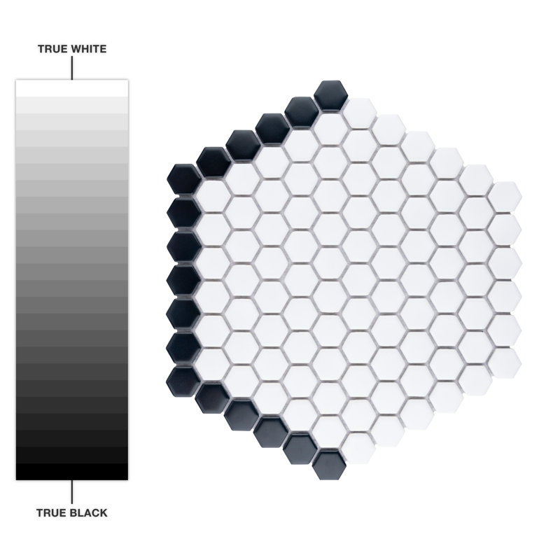Metro Geo 1" Hex Matte White with Black Edge 10-1/2" x 11-5/8" Porcelain Mosaic Tile
