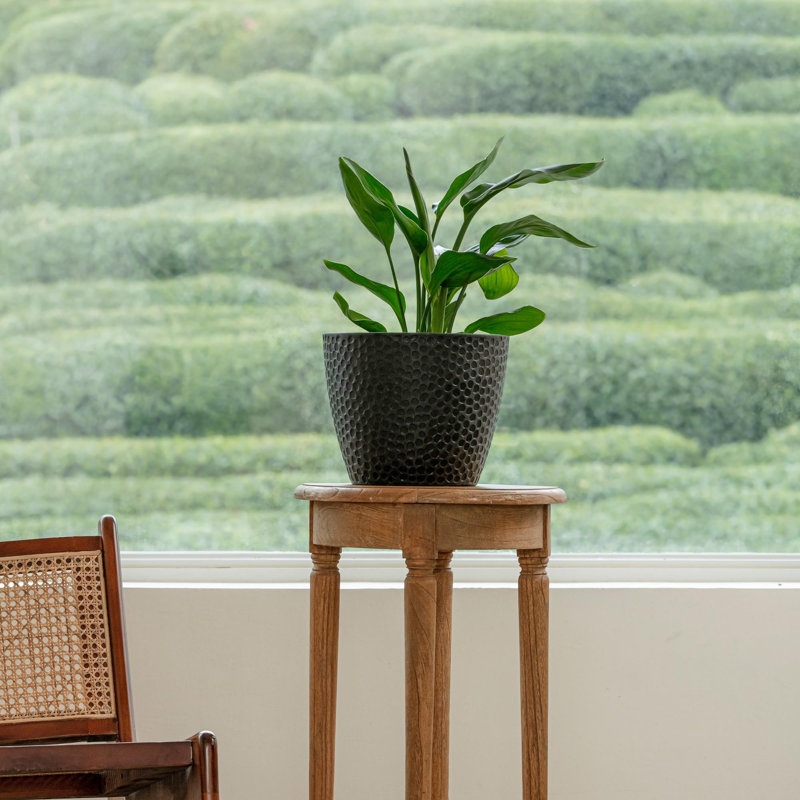 Abiella Pot Planter, Black, 13.78" H x 7.87" W x 11.81" D, 2