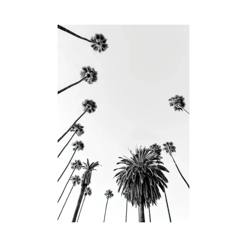 Black California Series - Palm Trees by Philippe Hugonnard - Print on Canvas, 66.04cm H x 45.72cm W x 1.91cm D