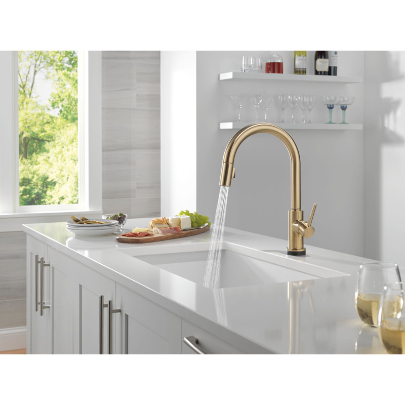 Trinsic Touchless Kitchen Faucet with Touch Technology, Brushed Gold Kitchen Sink Faucet with Pull Down Sprayer, Single Hole, Champagne Bronze