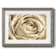 Fleur murale neutre IV-109224461-109224452