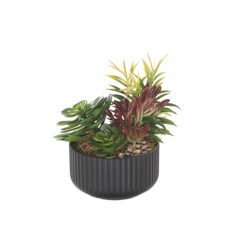 Faux Succulent, Black