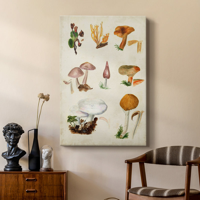 Mushroom Species VI - Gallery Cavas, H 48 po x l 32 po
