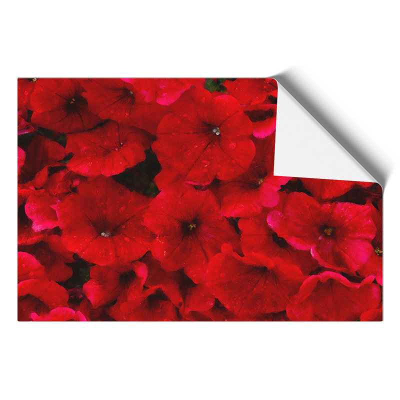 Seeing Red Flowers Painting - Frameless Print, 42cm H x 59cm W x 0.1cm D